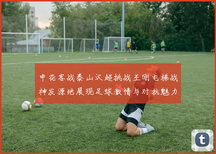 申花客战泰山汉超挑战王刚电梯战神发源地展现足球激情与对抗魅力